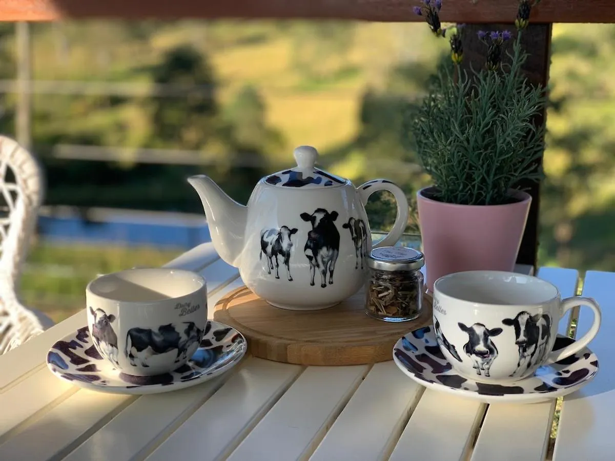 Romance Awaits At Down At The Dale Studio Conondale