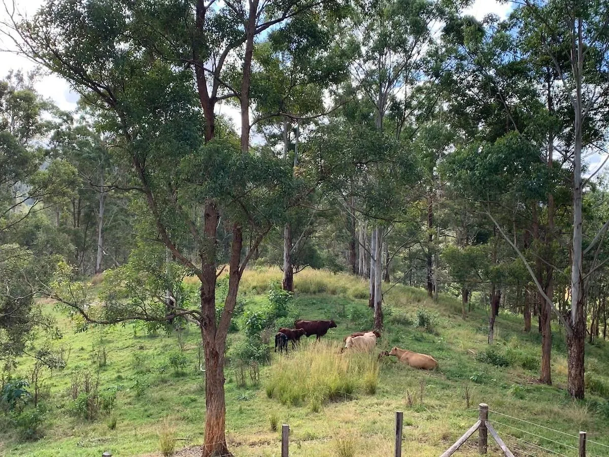 Romance Awaits At Down At The Dale Studio Conondale