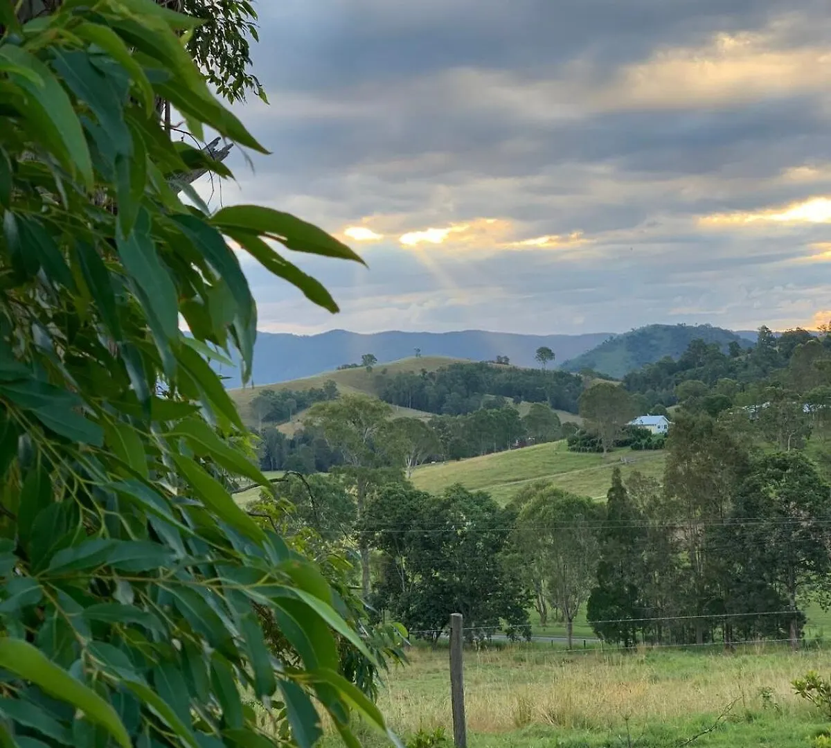 Romance Awaits At Down At The Dale Studio Conondale